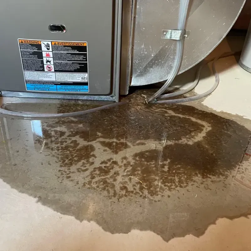 Appliance Leak Cleanup in White Settlement, TX